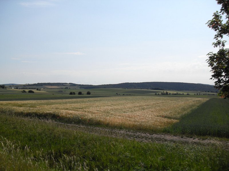 Rhoen-Radmarathon Nichtraucher 521